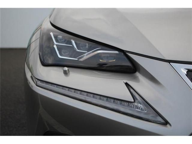 LEXUS NX300