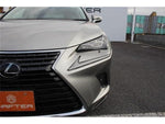LEXUS NX300