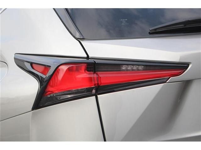 LEXUS NX300