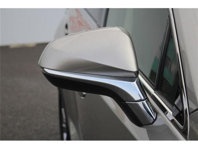 LEXUS NX300
