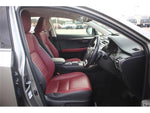 LEXUS NX300