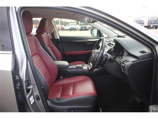 LEXUS NX300