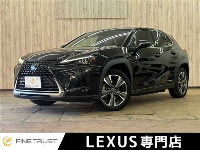 LEXUS UX300e