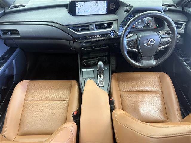 LEXUS UX300e
