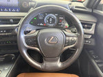 LEXUS UX300e