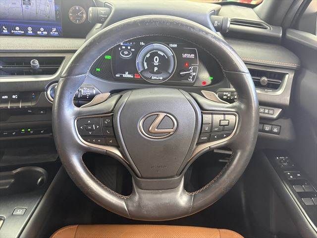 LEXUS UX300e