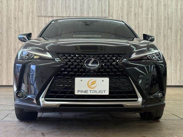 LEXUS UX300e