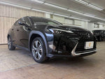LEXUS UX300e