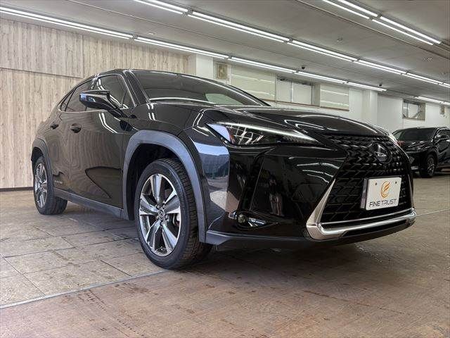 LEXUS UX300e
