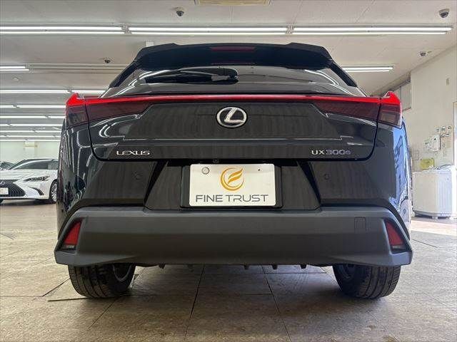 LEXUS UX300e