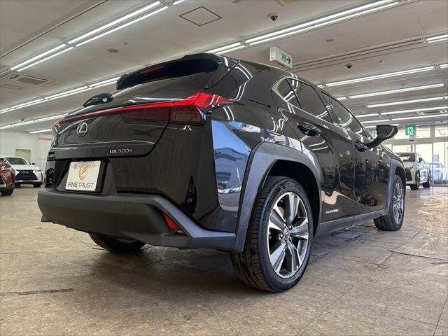 LEXUS UX300e