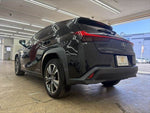 LEXUS UX300e