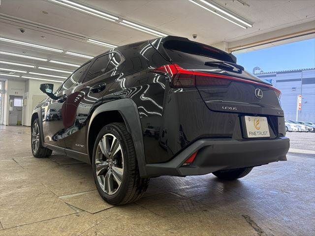 LEXUS UX300e