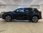 LEXUS UX300e