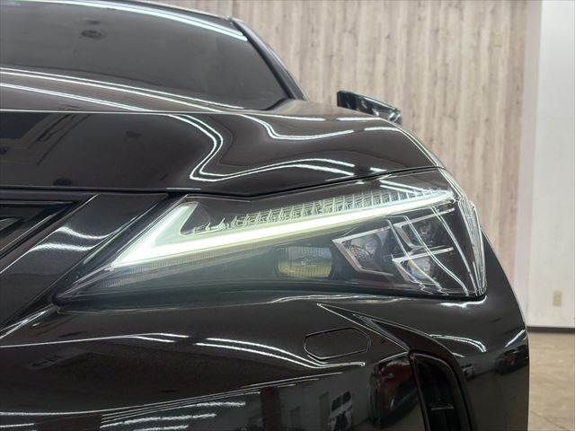 LEXUS UX300e