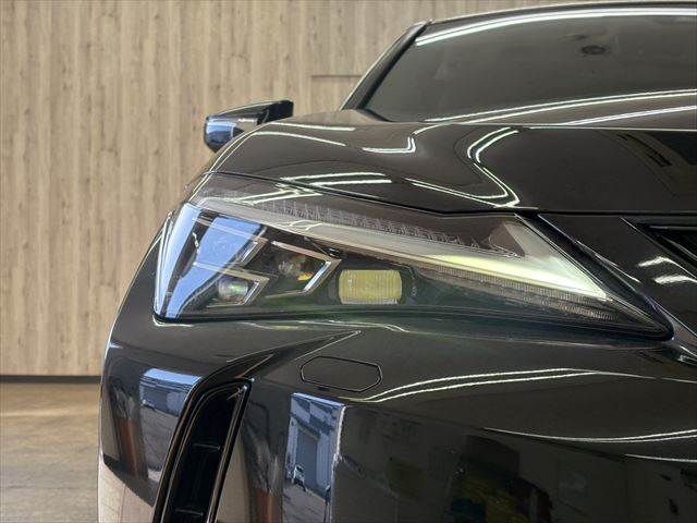 LEXUS UX300e