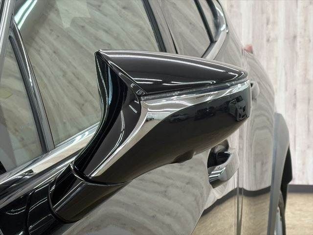 LEXUS UX300e