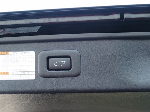 ALPHARD hybrid 4WD