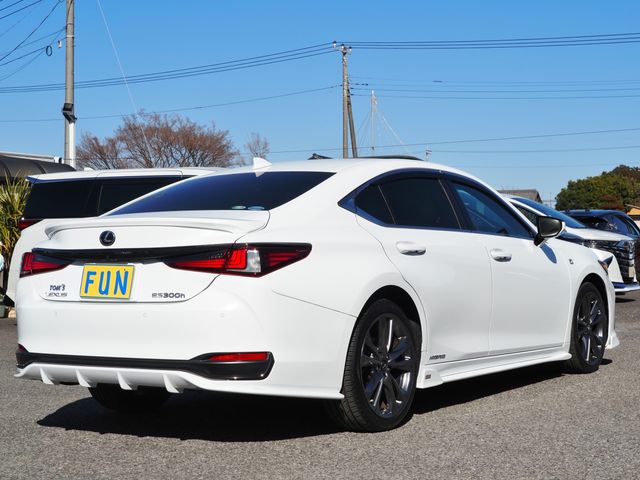 LEXUS ES300h