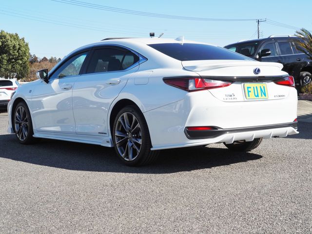 LEXUS ES300h