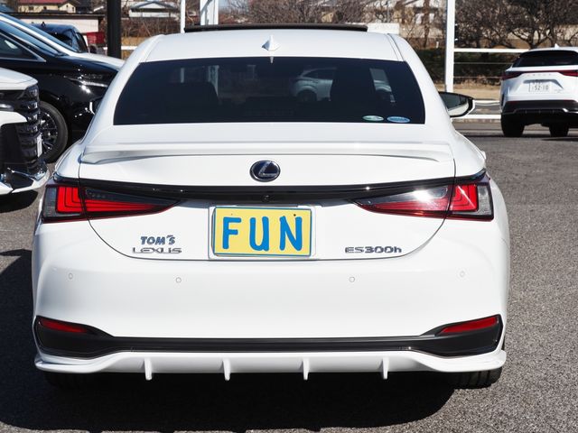 LEXUS ES300h
