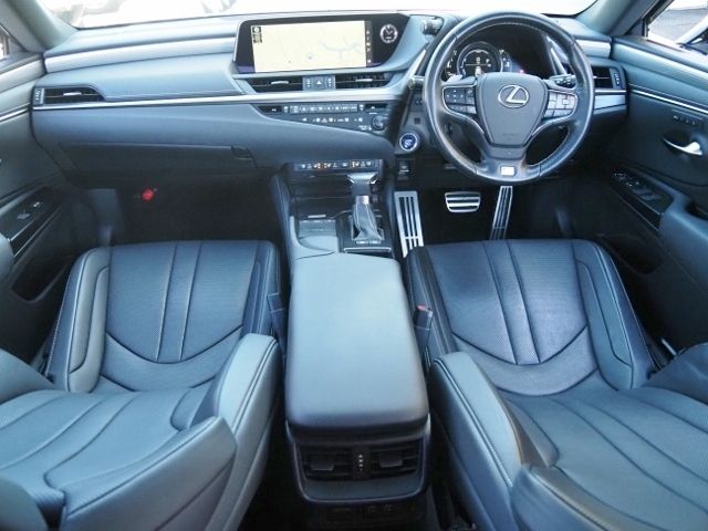 LEXUS ES300h