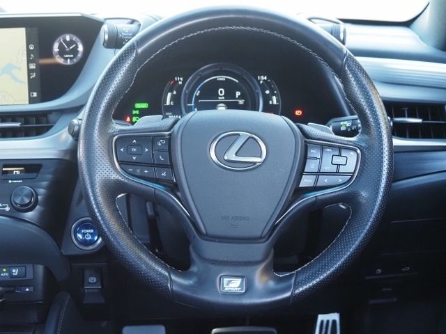 LEXUS ES300h