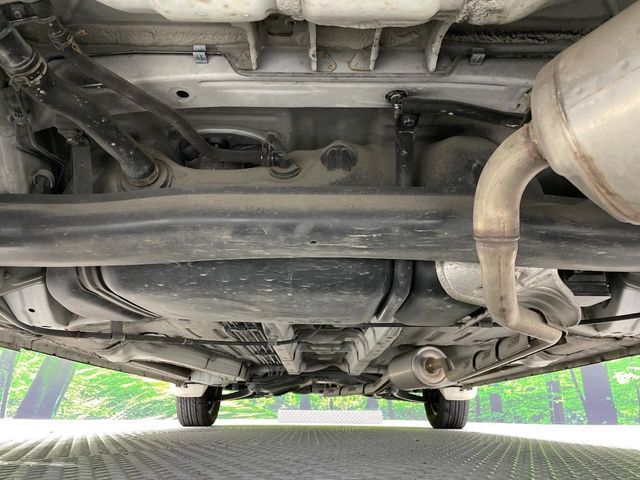 LIFE