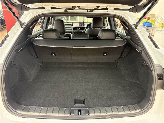 LEXUS RX450h AWD