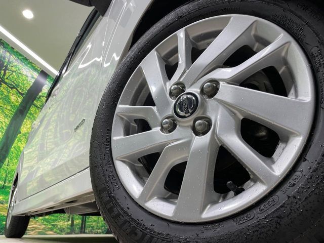 DAYZ