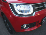 IGNIS