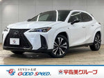 LEXUS UX250h