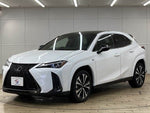 LEXUS UX250h