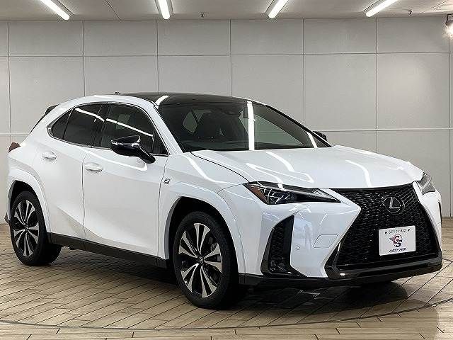 LEXUS UX250h