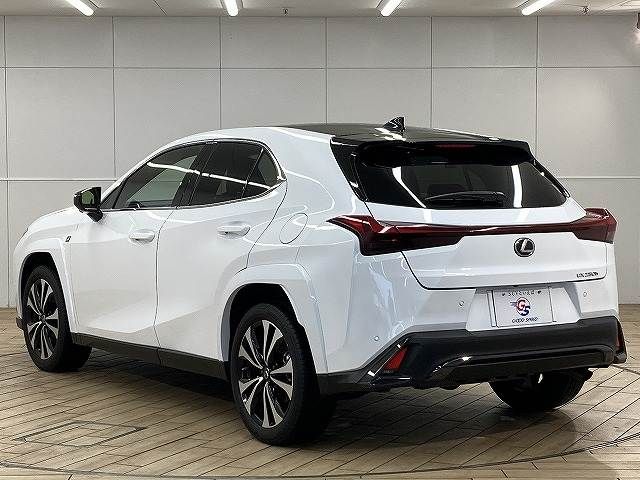 LEXUS UX250h