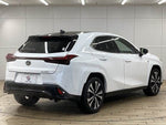 LEXUS UX250h
