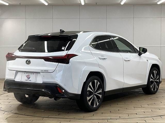 LEXUS UX250h