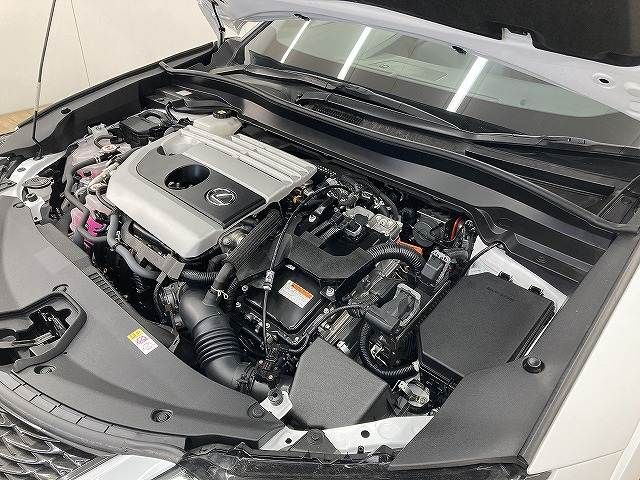 LEXUS UX250h