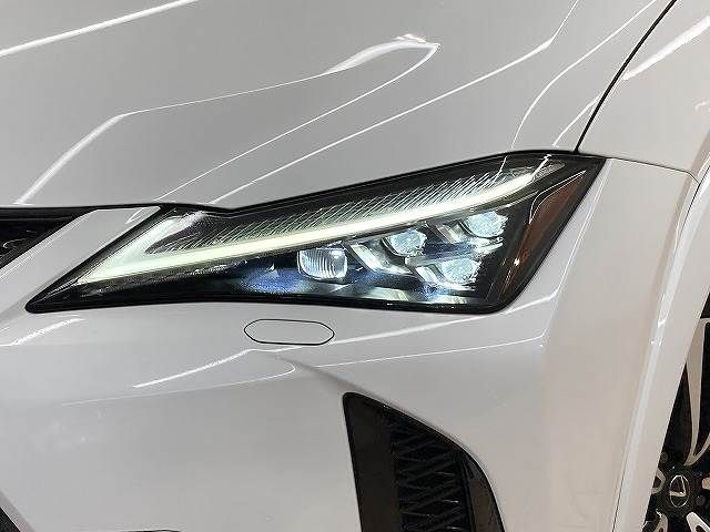 LEXUS UX250h