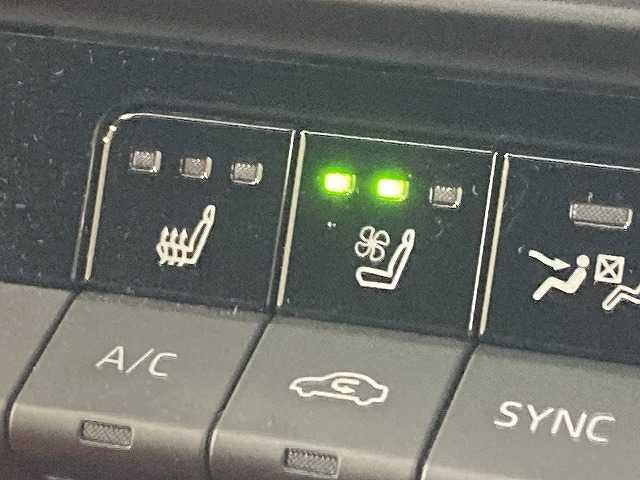 CROWN SPORT