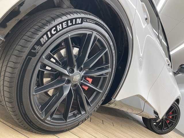 CROWN SPORT