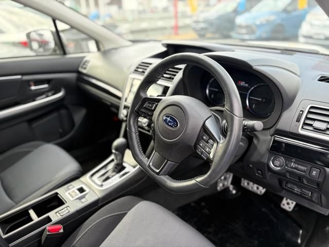 LEVORG