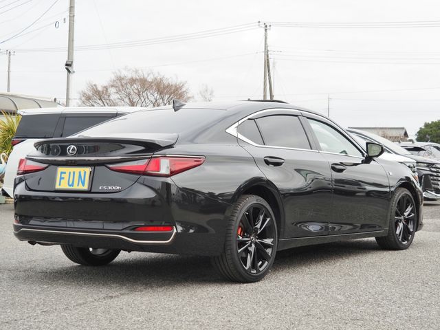 LEXUS ES300h