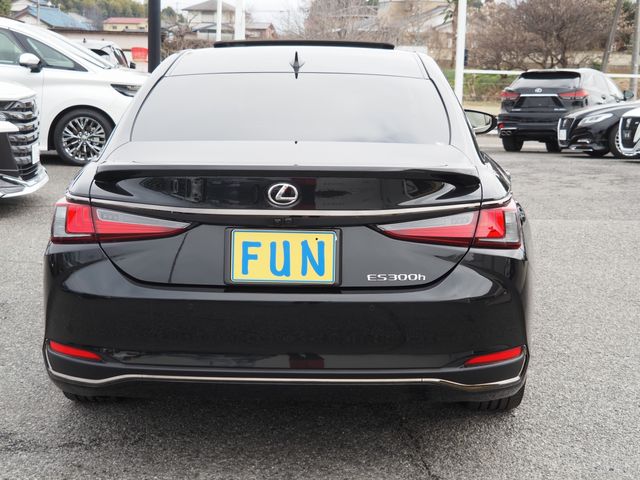 LEXUS ES300h