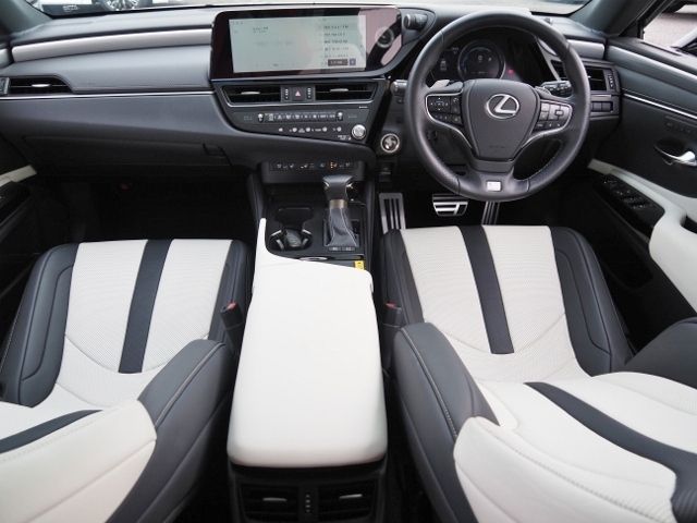 LEXUS ES300h