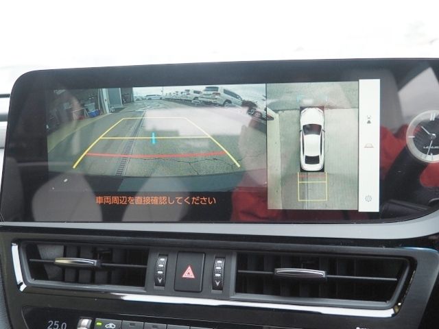 LEXUS ES300h