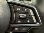 LEVORG LAYBACK