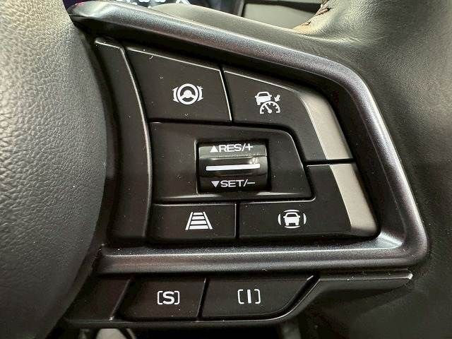 LEVORG LAYBACK