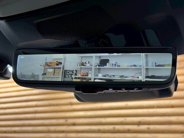 LEVORG LAYBACK