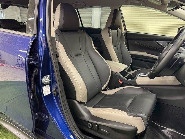 LEVORG LAYBACK